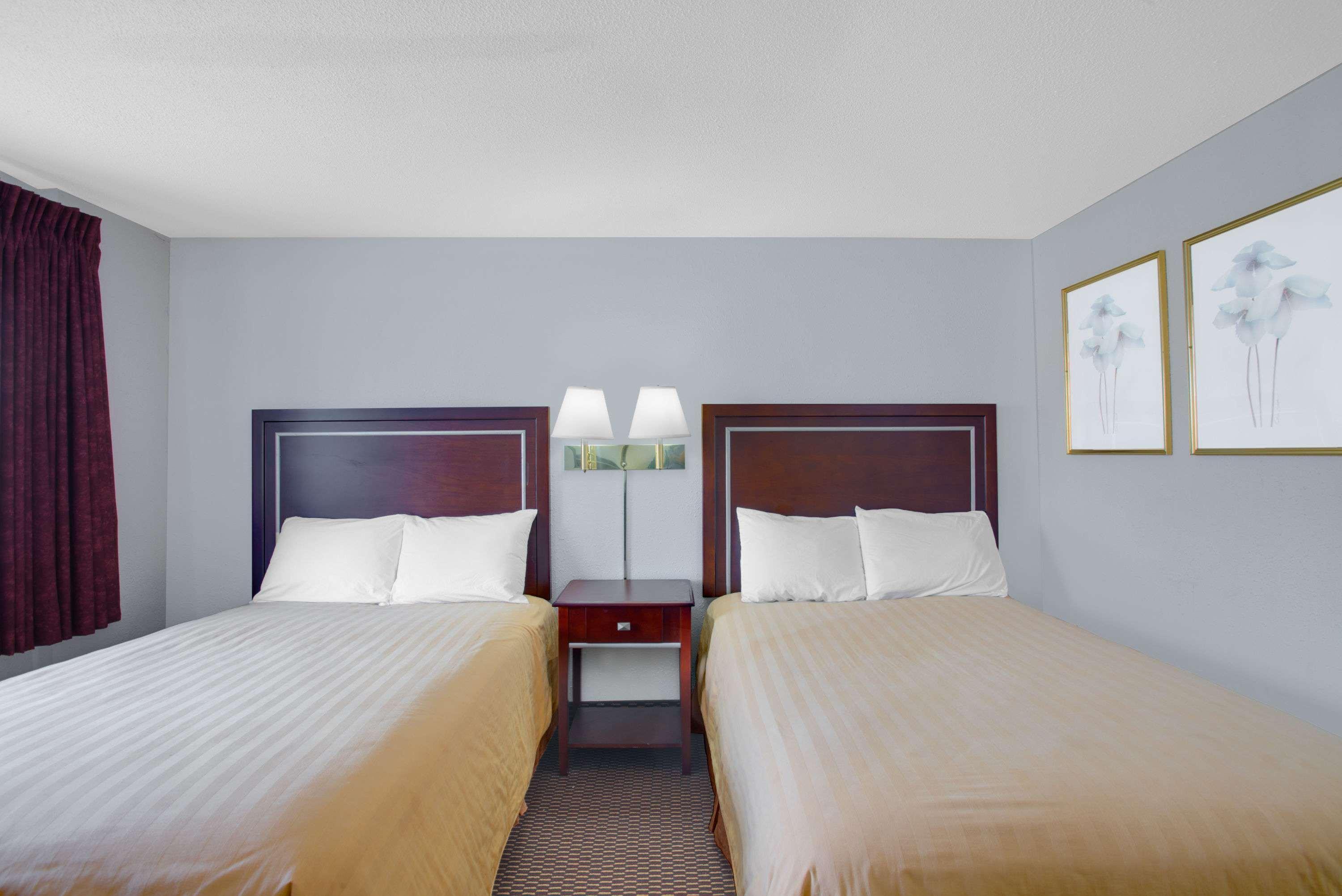 بانجور Queen City Inn المظهر الخارجي الصورة